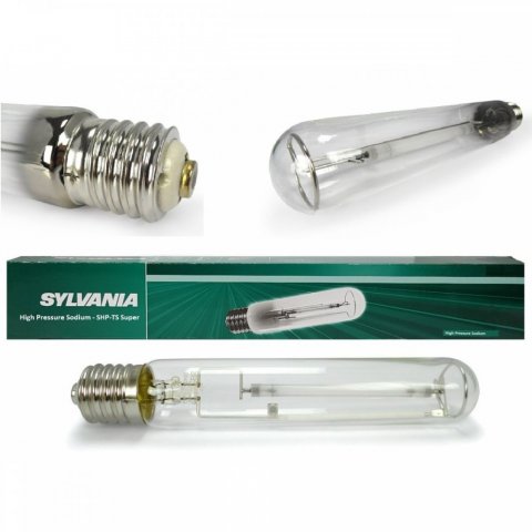 mini1-ampoule-floraison-sylvania.jpg