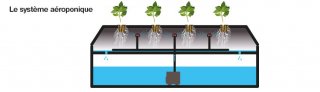 mini2-aeroponique.jpg