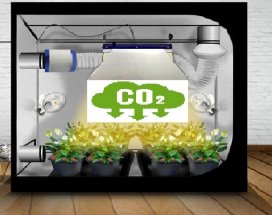 mini2-co2-box-de-culture-++.jpg