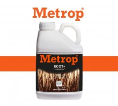 mini2-root+-5l.jpg