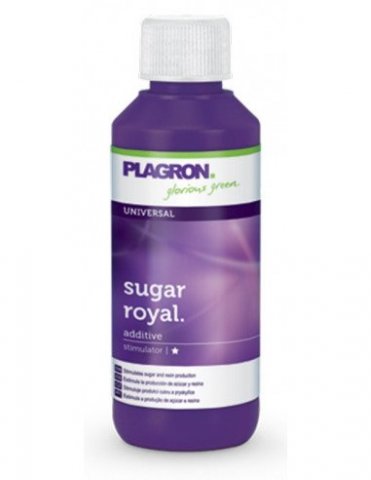 mini1-sugar-royal-100ml-plagron++.jpg