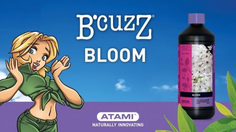 mini1-atami-bloom.stimulator.jpg