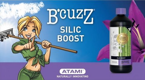mini1-atami-silicboost.jpg