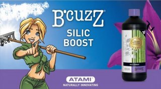 mini2-atami-silicboost.jpg