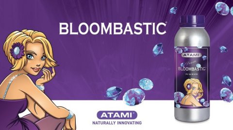 mini1-atami-bloombastic-.jpg